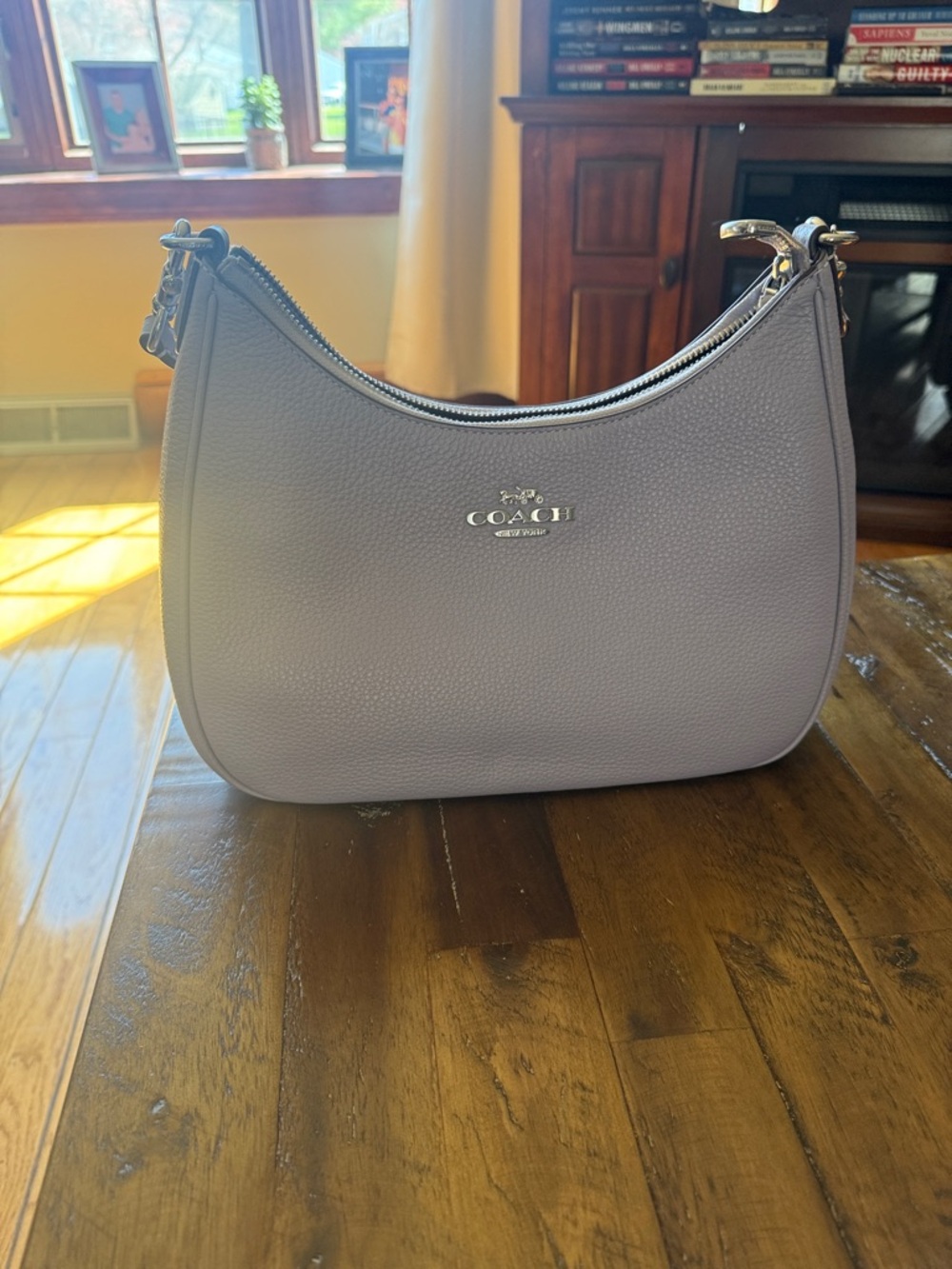 Teri Hobo Bag